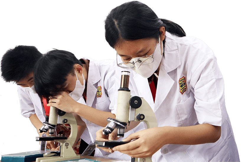 STEM Program